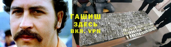 мдпв Ельня