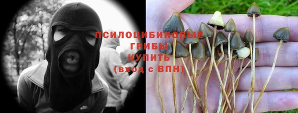 мдпв Ельня