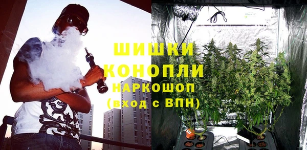 мдпв Ельня