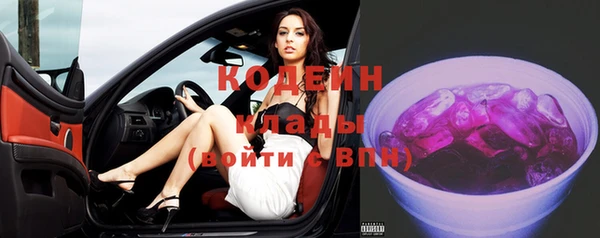 мдпв Ельня