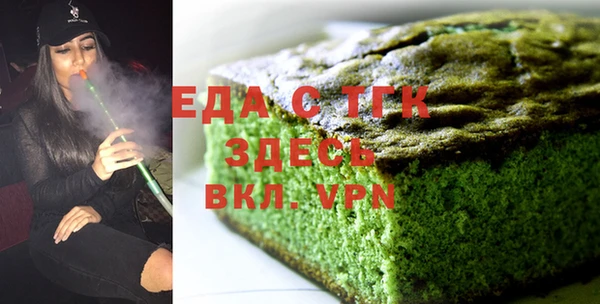 мдпв Ельня