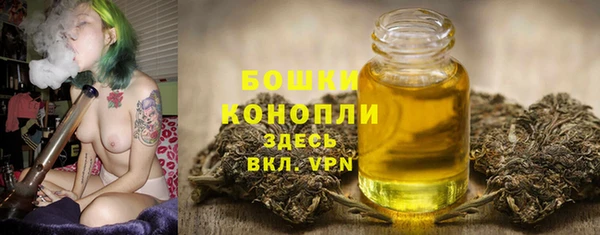 мдпв Ельня