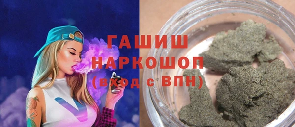 мдпв Ельня