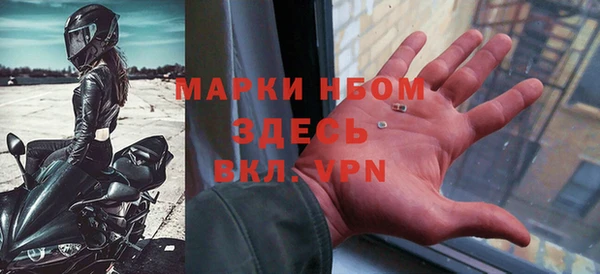 мдпв Ельня