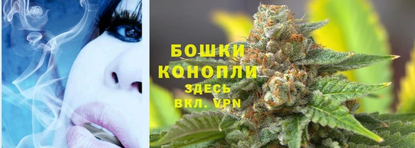 прущая мука Беслан