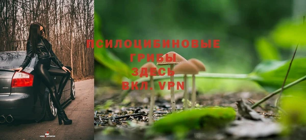 мдпв Ельня