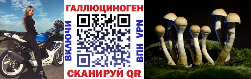 Галлюциногенные грибы GOLDEN TEACHER  Камень-на-Оби 
